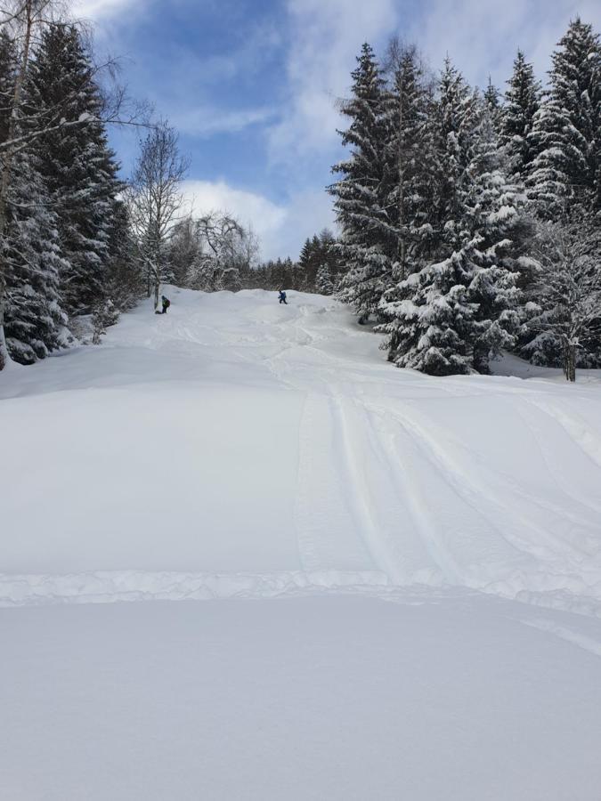 Chalet Chapeau Rar Castel Condino Экстерьер фото
